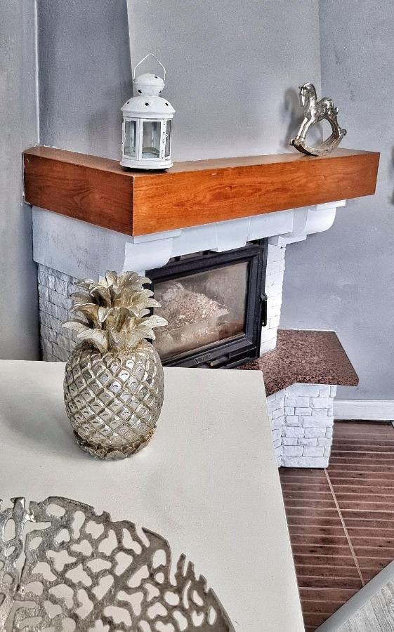 Apartament Kaczyniec 10 Gliwice Eksteriør billede